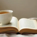 Filósofos: por cuál empezar si nunca has leído ninguno